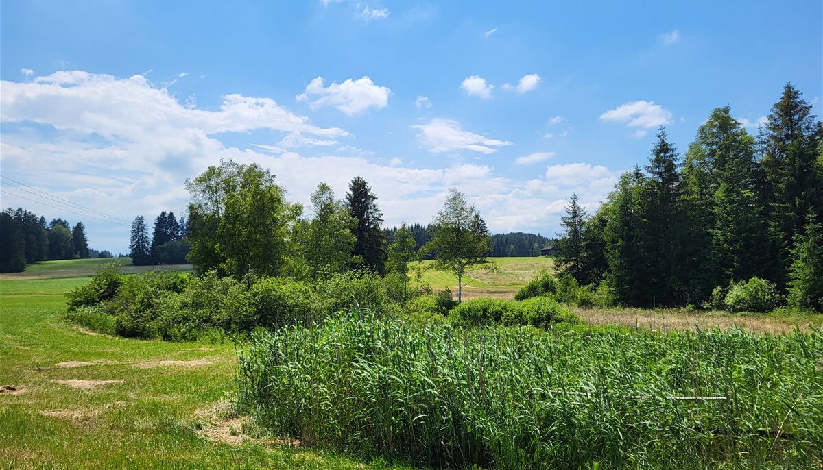 zum Grundstück Richtung Süden