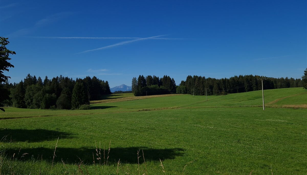 zum Grundstück