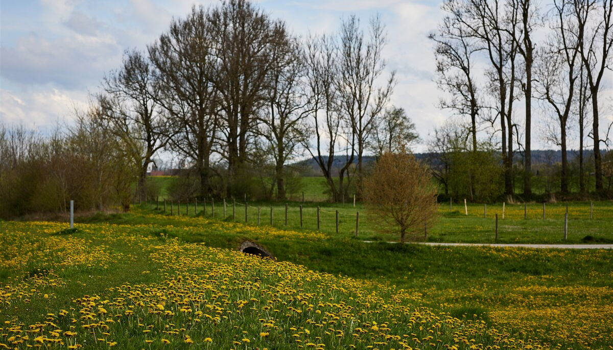 Aussicht im Frühjahr